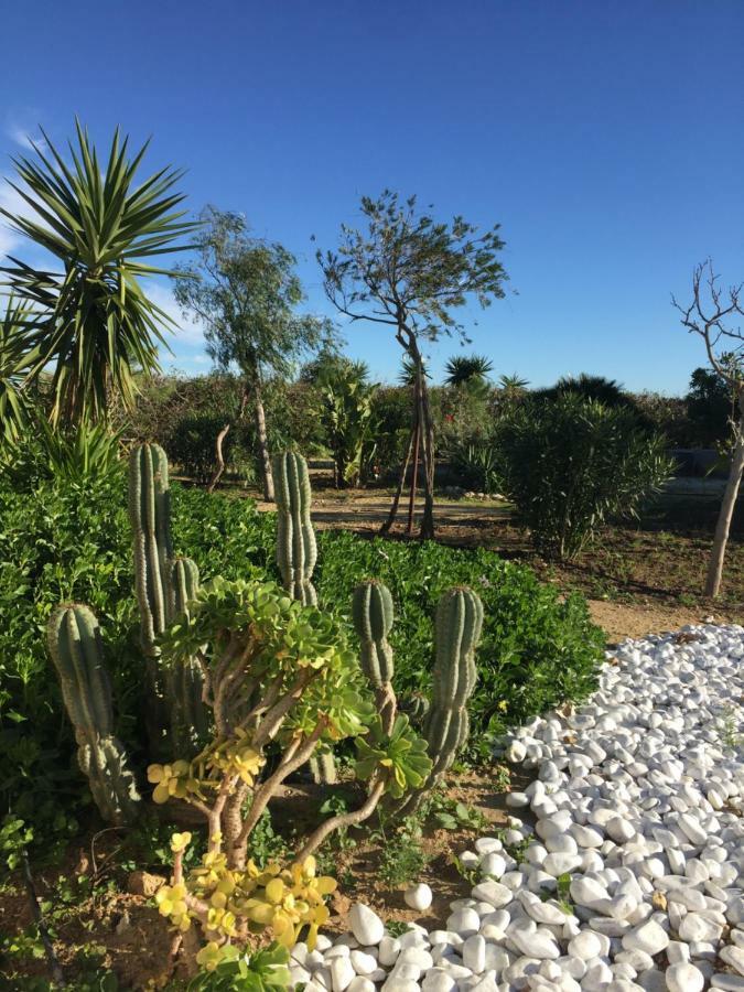 شقة مْبيخير ذي لا فرونتيرا  في Finca Du Ressourcement Higueron المظهر الخارجي الصورة