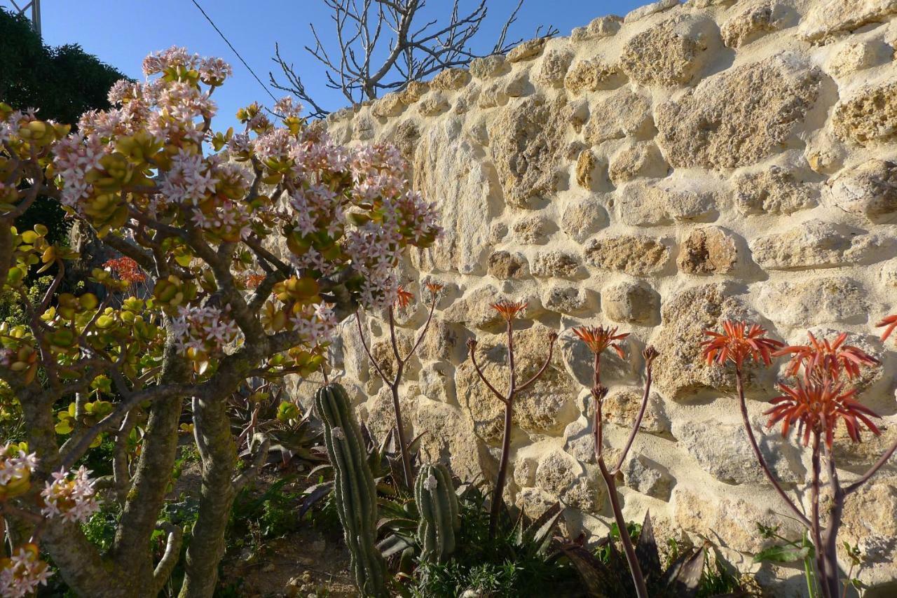 شقة مْبيخير ذي لا فرونتيرا  في Finca Du Ressourcement Higueron المظهر الخارجي الصورة