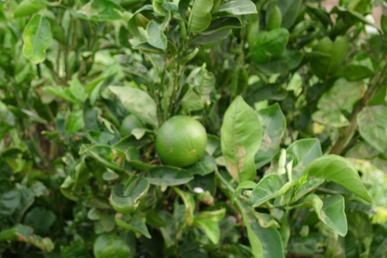شقة مْبيخير ذي لا فرونتيرا  في Finca Du Ressourcement Higueron المظهر الخارجي الصورة